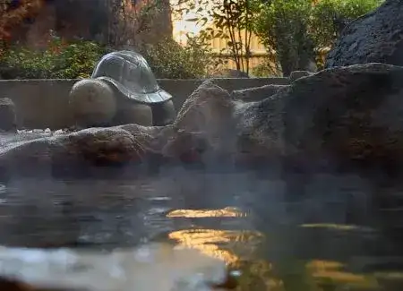 亀の甲温泉の画像